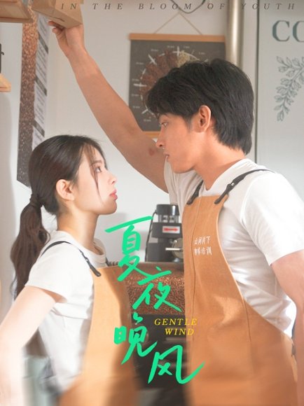 夏夜晚风（12集）何衍朝＆蔡子伊 高清完整版