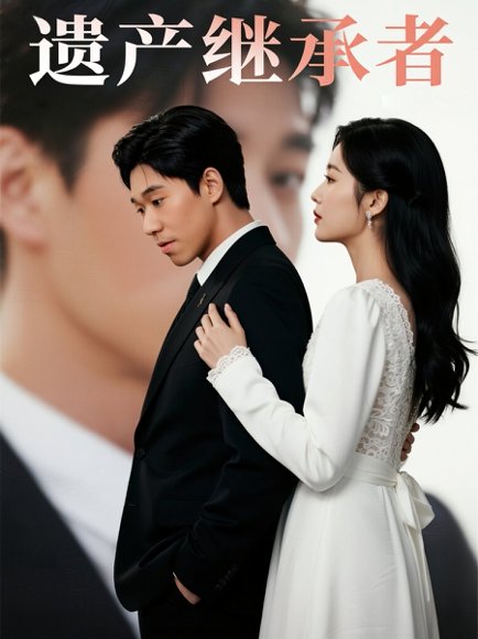 遗产继承者（32集）戴剑文 高清完整版