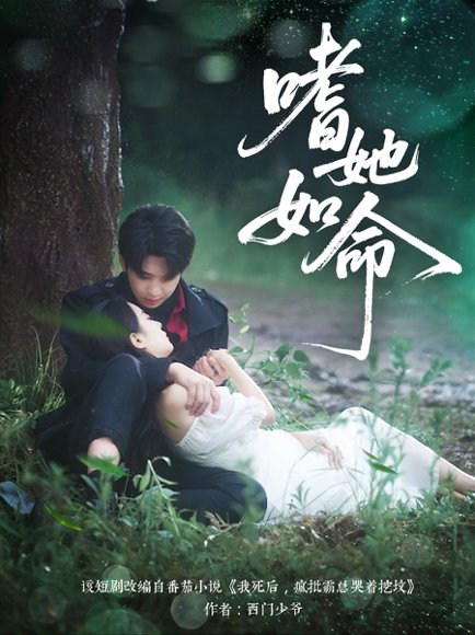 嗜她如命（77集）肖文宇 高清完整版