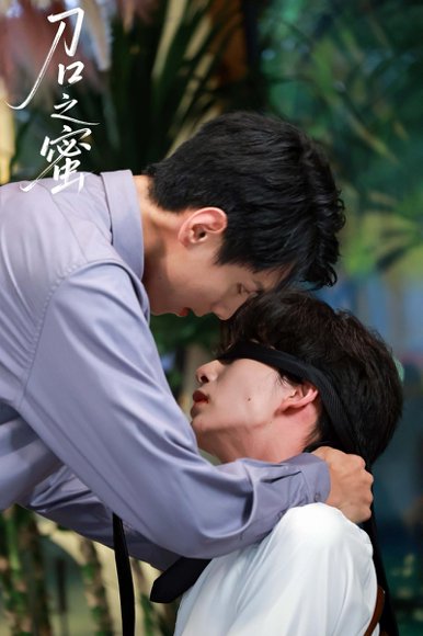 刀口之蜜（46集）刘晏辰&王年将成 高清完整版