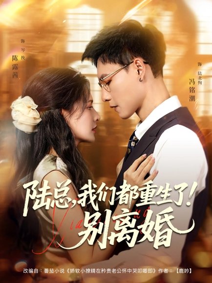 陆总我们都重生了！别离婚&陆总我们都重生了别离婚（79集）冯铭潮&陈露茜 高清完整版