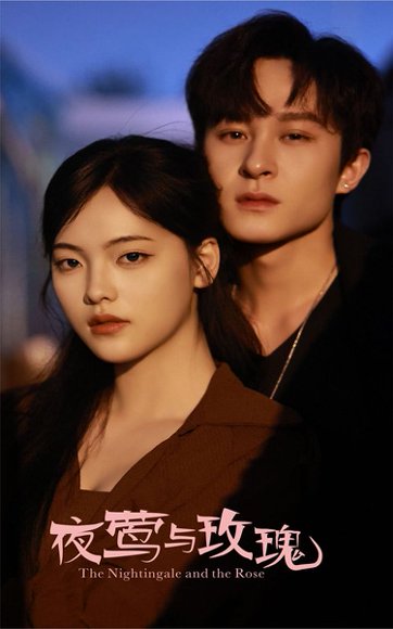 夜莺与玫瑰（60集）聂杨＆江炘 高清完整版