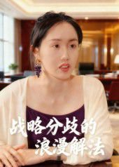 战略分歧的浪漫解法（16集）曹栋&曾渠清 高清完整版