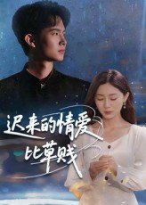 迟来的情爱比草贱（46集） 高清完整版