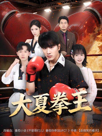 大夏拳王（80集） 高清完整版