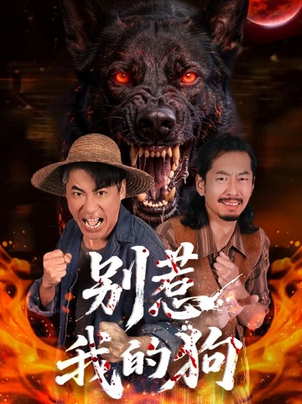 别惹我的狗（40集）高毅&张斯予&陈鸿运 高清完整版