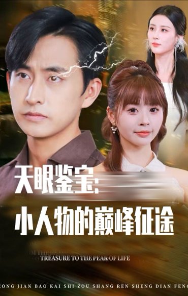 天眼鉴宝小人物的巅峰征途（80集）潘家锜&洪沛鸿 高清完整版